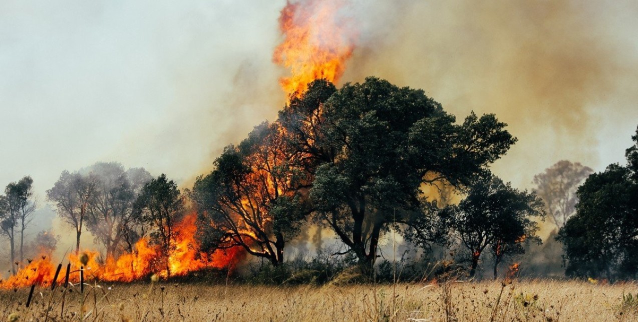 Φωτιές στην Ελλάδα: Οι καταστροφικές συνέπειες και η ανάγκη άμεσης κινητοποίησης