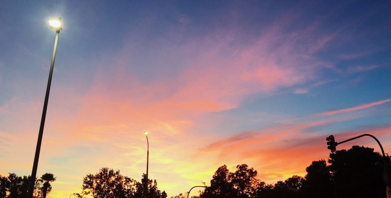 What's GLOW Vol.15 | 23.1 