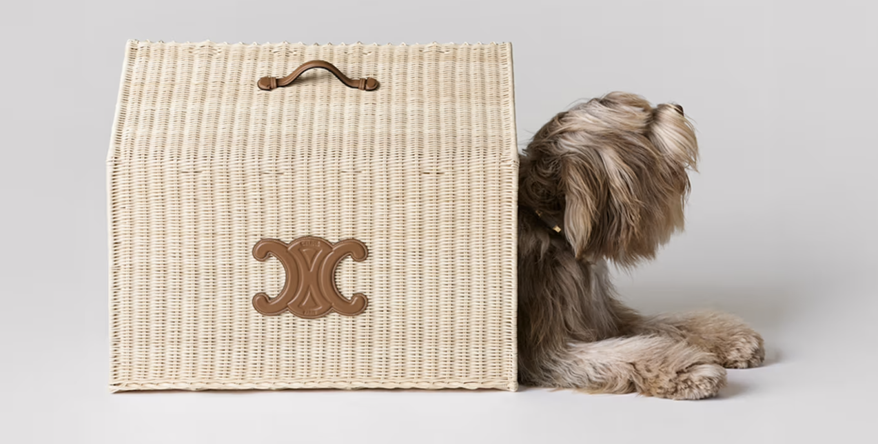 Η Celine παρουσιάζει την πιο πολυτελή συλλογή με αξεσουάρ για σκύλους