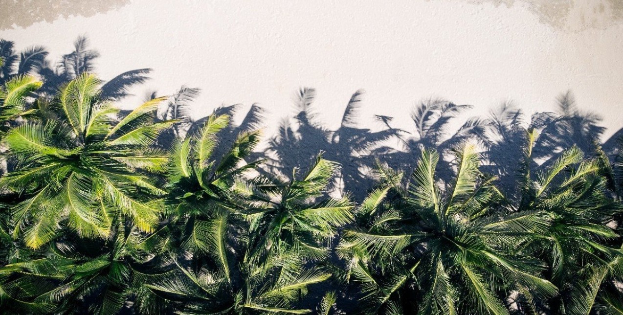 Winter bliss: Οι πιο sunny προορισμοί για να ξεφύγετε από το κρύο του χειμώνα