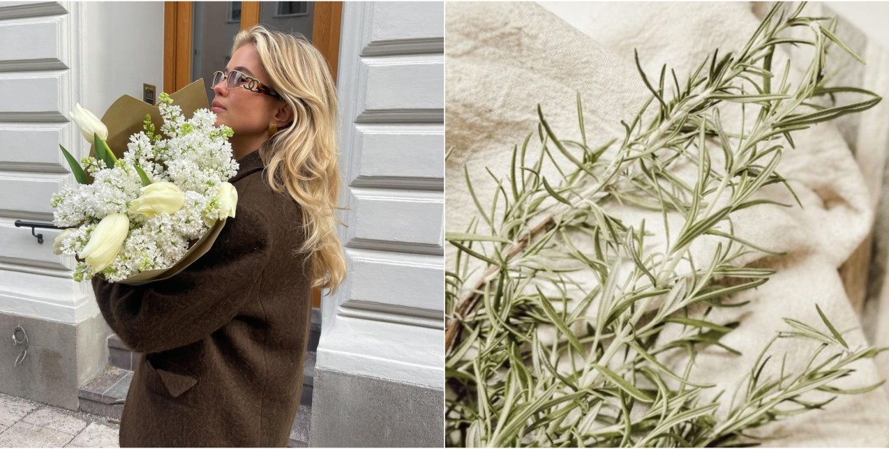 Rosemary oil: Το best-kept μυστικό για υγιές τριχωτό & πιο δυνατά μαλλιά