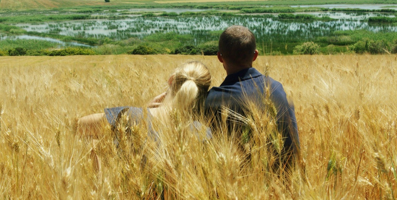 Παγκόσμια Ημέρα Περιβάλλοντος: Σημαντικές πρωτοβουλίες για την προστασία και αποκατάσταση τοπικών Μεσογειακών οικοσυστημάτων