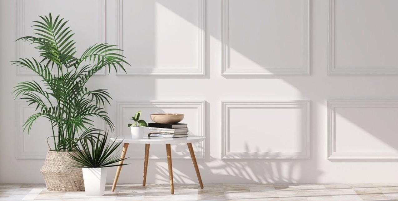 Beat the heat: 4 φυτά εσωτερικού χώρου που θα διατηρήσουν το σπίτι σας δροσερό 