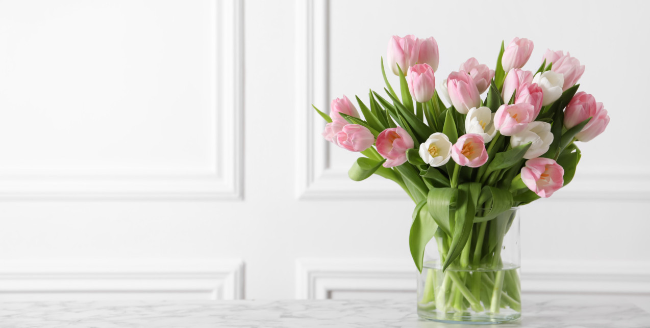 Τουλίπες: Ποιο χρώμα να επιλέξετε ανάλογα με τον χώρο και τον χαρακτήρα σας