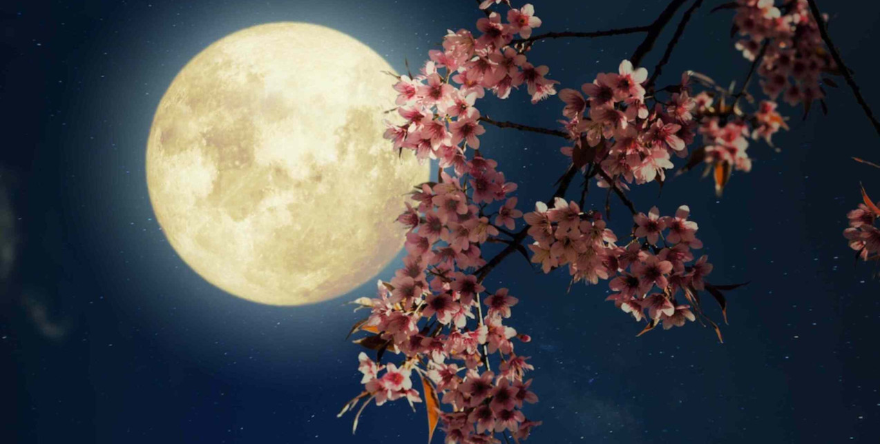 Τα 4 ζώδια που θα βιώσουν απρόσμενες εκπλήξεις με τη σημερινή πανσέληνο 