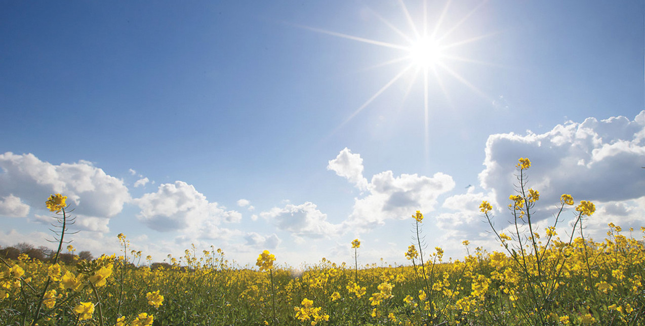 Εξειδικευμένες απαντήσεις για τη γονιμότητα: Υπάρχει εποχή καλύτερη για εξωσωματική;