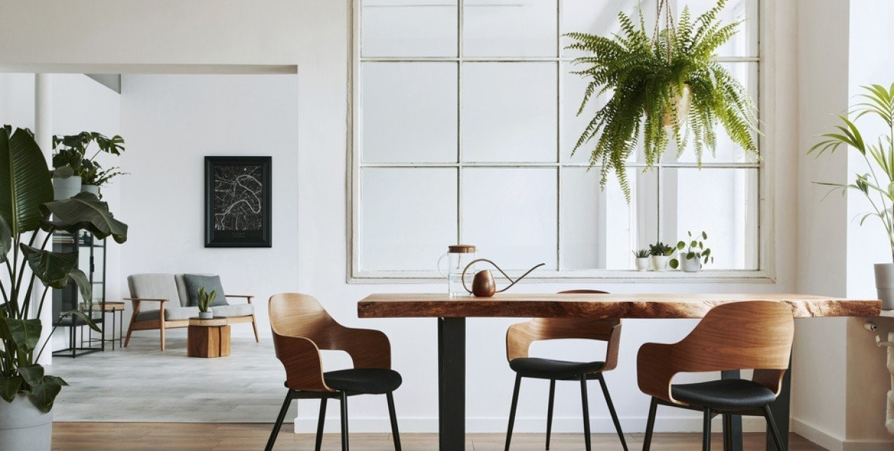 Τα φυτά που θα χαρίσουν την απόλυτη δροσιά στον χώρο μας 