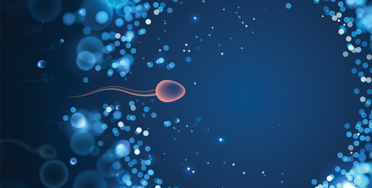 Οι 10 τρόποι που βελτιώνουν σημαντικά τις πιθανότητες για φυσική σύλληψη