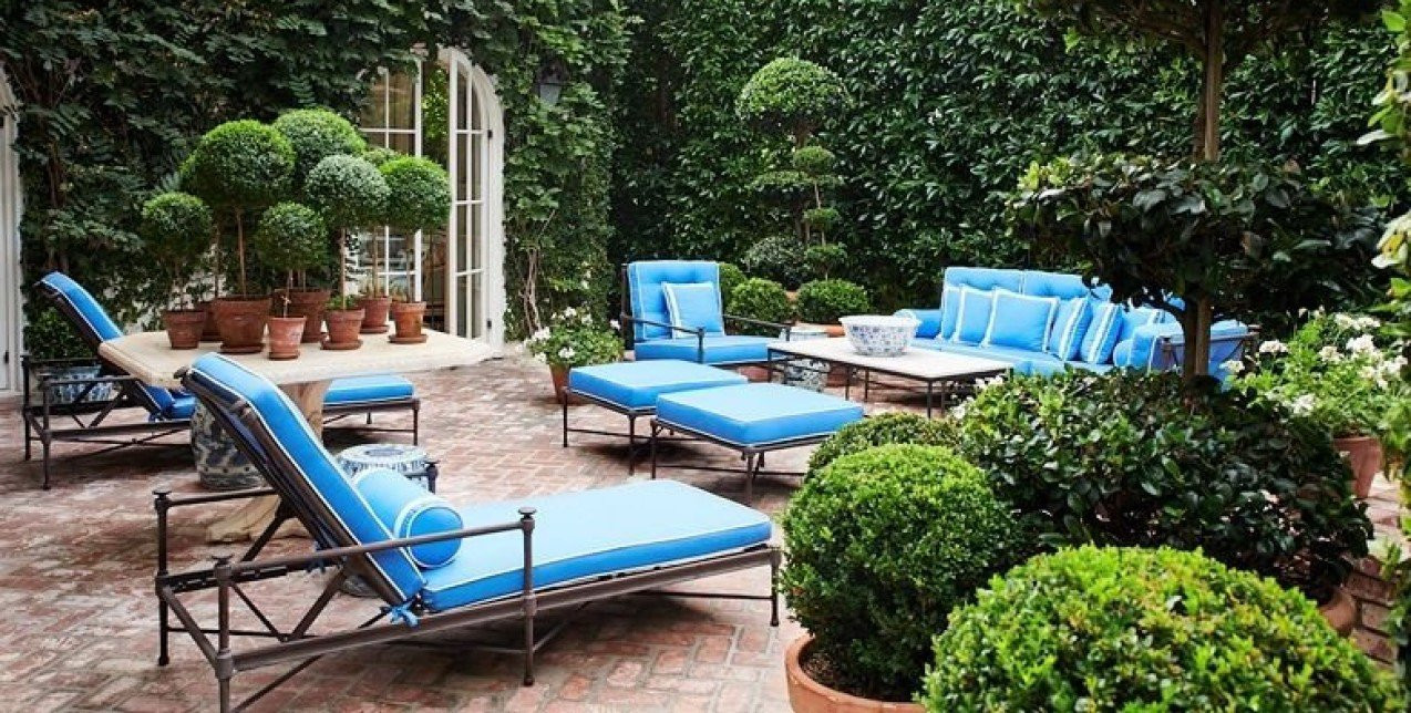 8 φυτά και δέντρα που αναπτύσσονται γρήγορα και είναι η ιδανική επιλογή για το σπίτι και τον κήπο σας