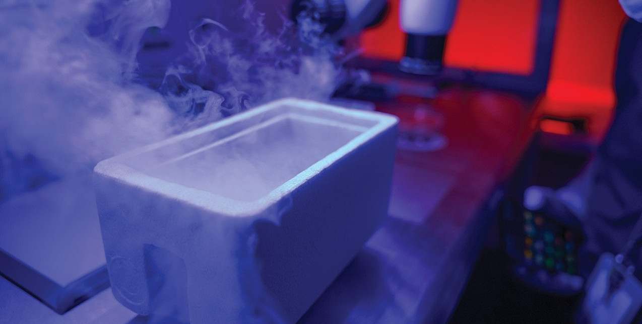 Εξειδικευμένες απαντήσεις για τη γονιμότητα - Η σημασία της απόψυξης των ωαρίων για την επιτυχία της εξωσωματικής