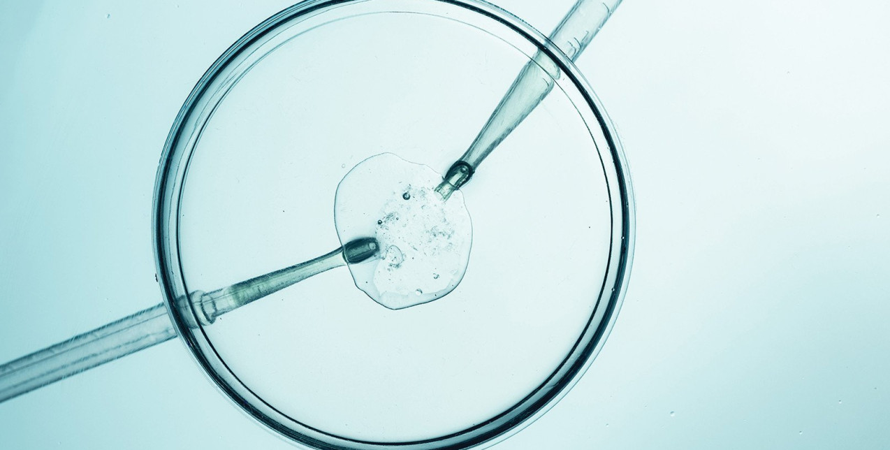 Με ποιους τρόπους η τεχνητή νοημοσύνη έχει φέρει την επανάσταση στην ιατρική ακρίβειας, υπηρετώντας τον άνθρωπο;