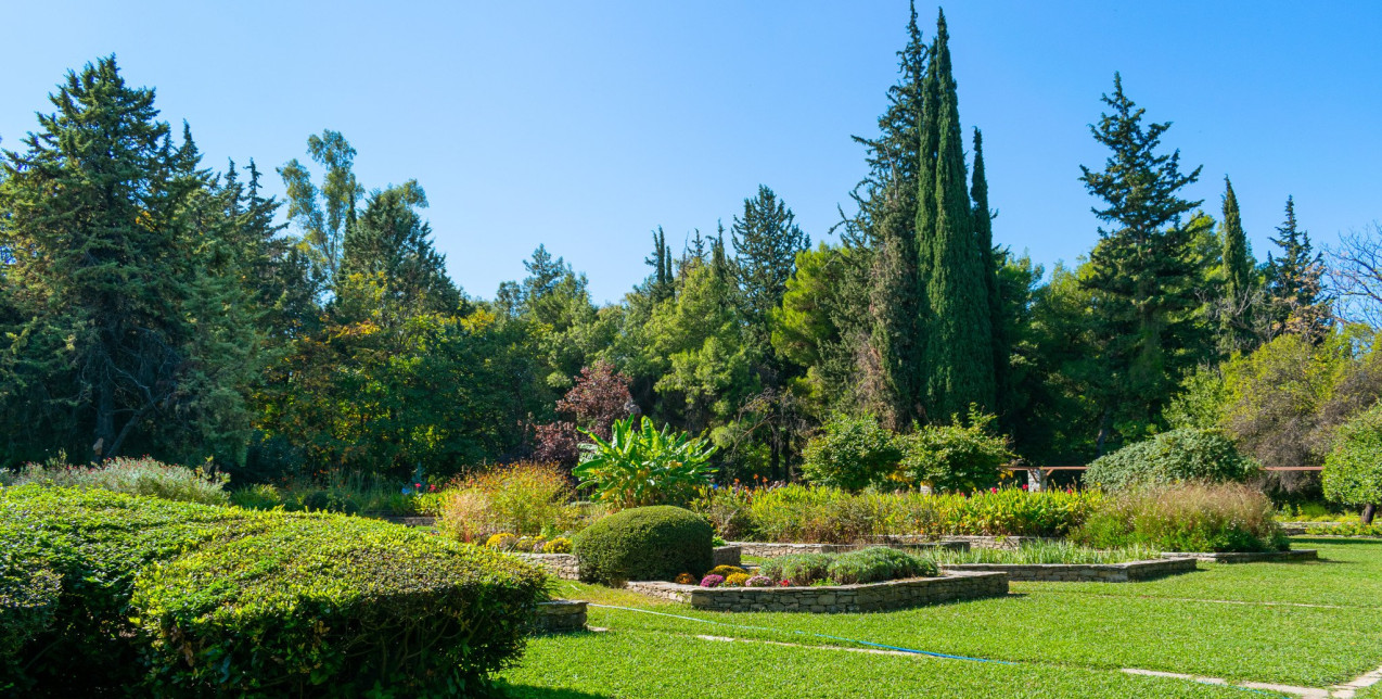 Στην Αθήνα ένας από του ομορφότερους «κρυφούς» κήπους της Ευρώπης σύμφωνα με τον Guardian 