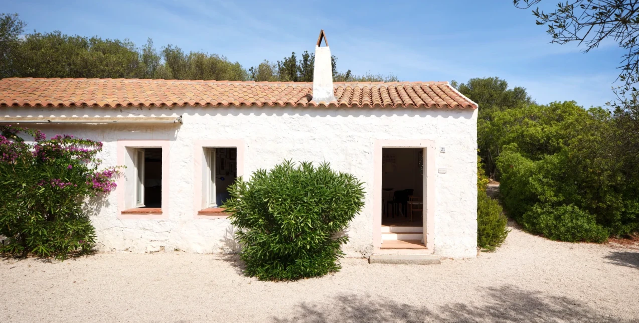 Μια παλιά αγροτική φάρμα στη Σαρδηνία μετατράπηκε σε όαση ανάμεσα σε ελαιόδεντρα 