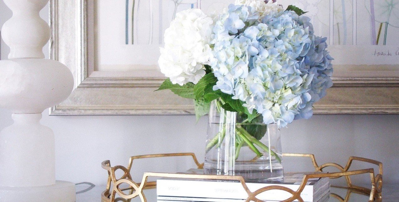 Τα ωραιότερα λουλούδια και φυτά για τους χώρους του σπιτιού σας, ιδανικά για τους μήνες που ακολουθούν