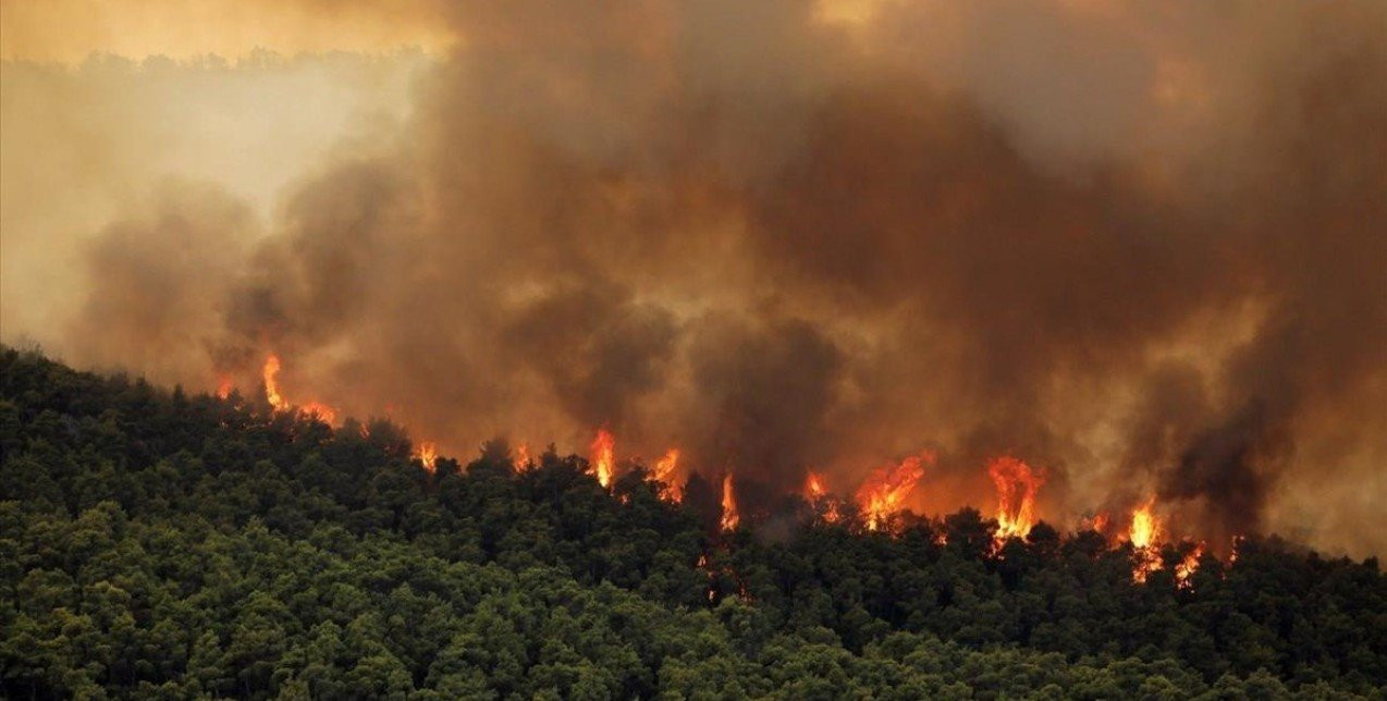 Η Ελλάδα εκπέμπει SOS: Πώς μπορείτε να βοηθήσετε τους πληγέντες των πυρκαγιών
