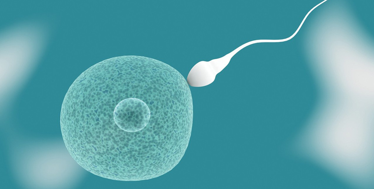 Απαντήσεις σε 10 βασικά ερωτήματα που αφορούν στον ρόλο του άντρα για την επίτευξη μιας υγιούς εγκυμοσύνης