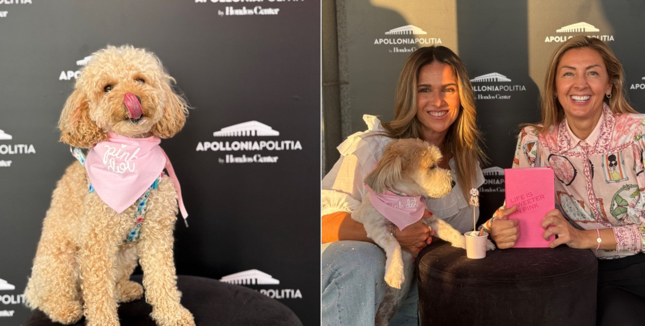 Η Apollonia Politia γιόρτασε την Παγκόσμια Ημέρα Σκύλου με τον πιο δημιουργικό και γλυκό τρόπο 