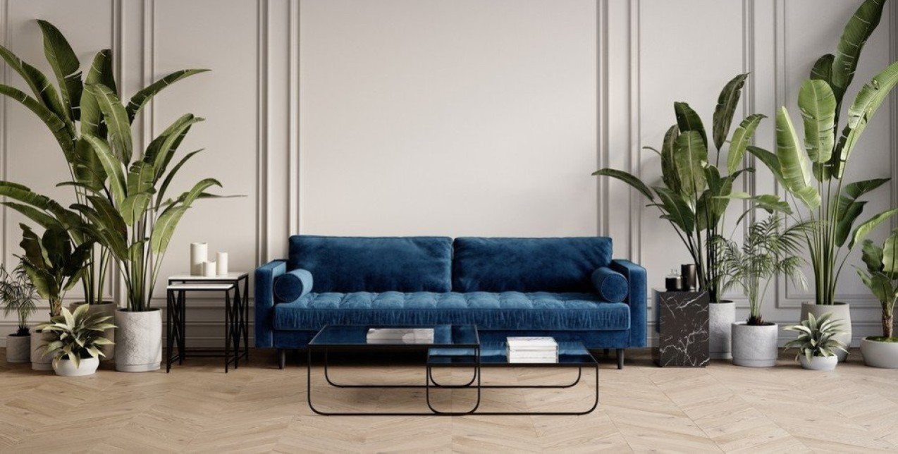 Έτσι θα «δώσουμε ζωή» στα φυτά μας ξανά μετά από μια περίοδο παραμέλησης