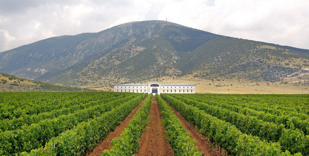 Από τη Μακεδονία έως τη Θράκη, μία μαγευτική περιπλάνηση στα οινοποιεία της Βόρειας Ελλάδας