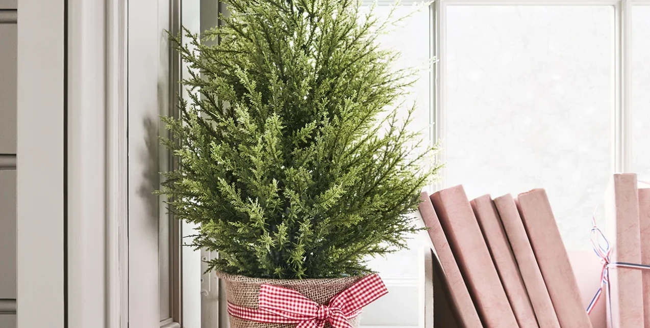 Τα ιδανικά φυτά για να προσφέρετε ως δώρο στα χριστουγεννιάτικα gatherings