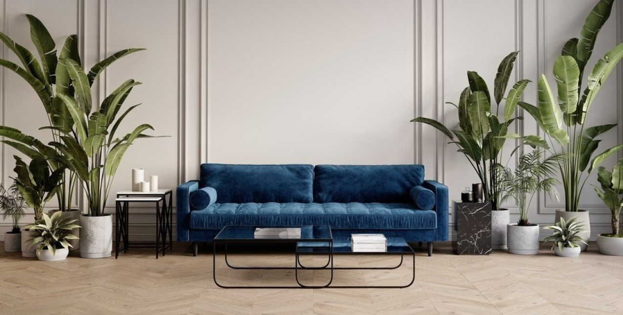 Φυτά εσωτερικού χώρου και καθαρή ατμόσφαιρα: Μύθος ή πραγματικοί σύμμαχοι ευεξίας;