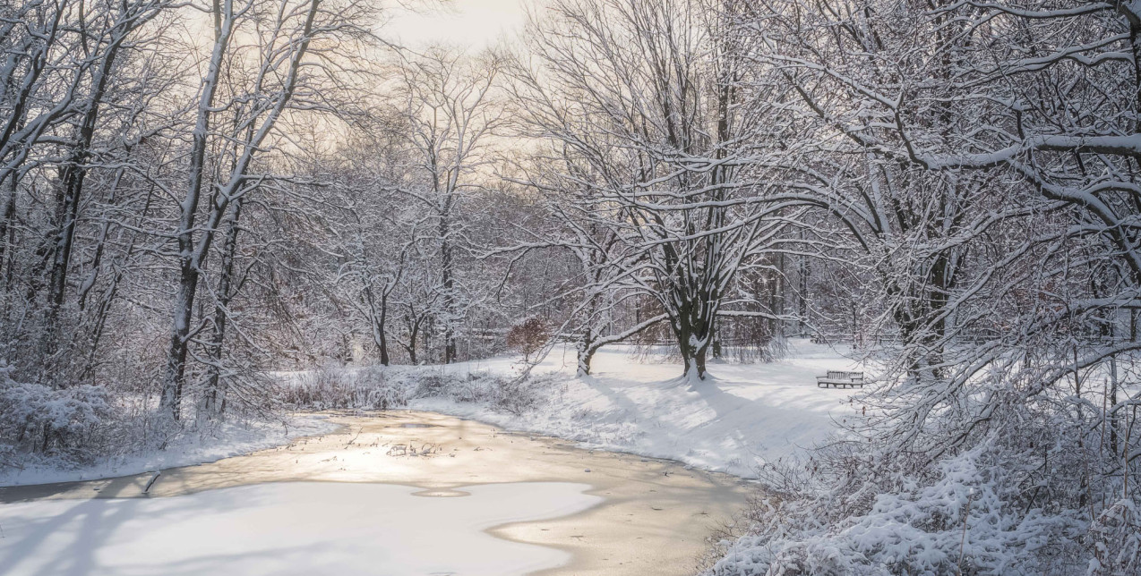 Winter Wonderlands: Οι ομορφότεροι χιονισμένοι κήποι στον κόσμο