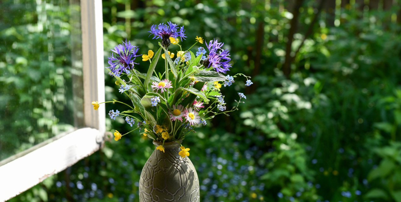 Τα 5+1 It Plants για το 2026: Οι τάσεις που θα μεταμορφώσουν τα μπαλκόνια και τις αυλές σας την άνοιξη