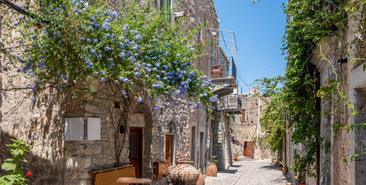 THE CHIOS FESTIVAL 2026: Το πολιτιστικό γεγονός του καλοκαιριού με διεθνείς προσωπικότητες, μεγάλες συναυλίες και μοναδικές εκδηλώσεις