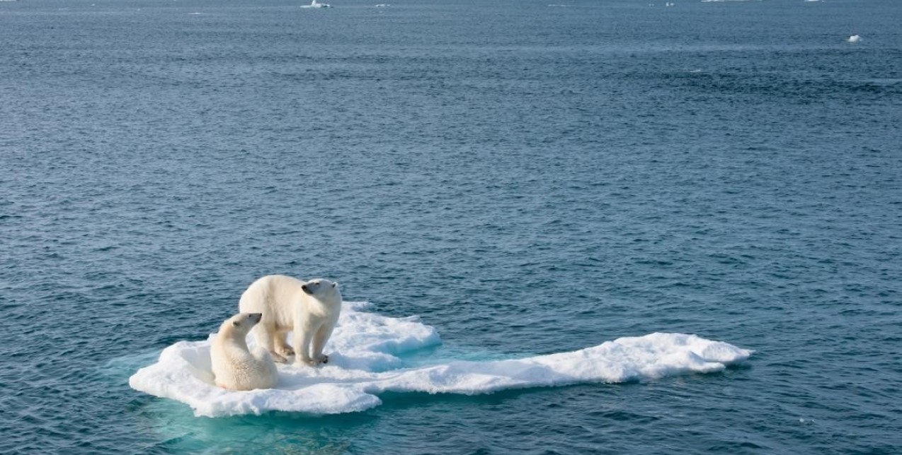 Save the planet: Απλές, καθημερινές συνήθειες που μπορούν να σώσουν τον πλανήτη