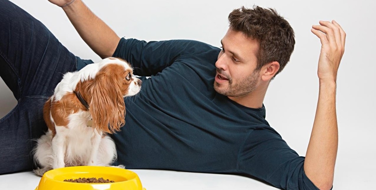 Tips για να απολαμβάνει το κατοικίδιό σας καλύτερη ποιότητα ζωής