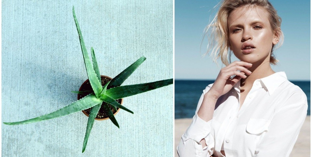 5 λόγοι που η αλόη είναι ένα θαυματουργό φυσικό skincare συστατικό 