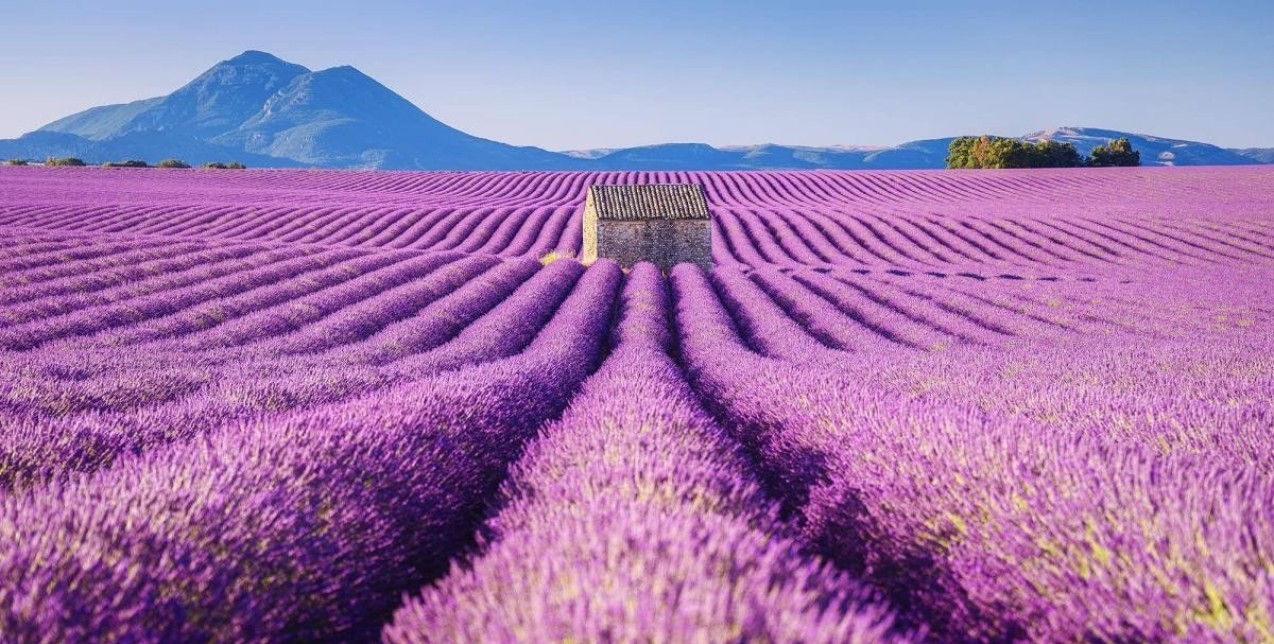 Σαν παραμύθι: Όλοι οι δρόμοι οδηγούν στην Προβηγκία