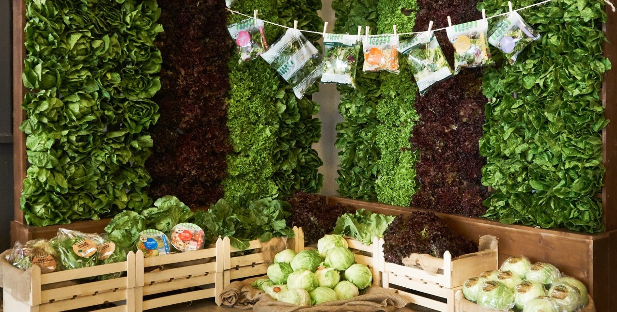 Δώστε φρέσκια νότα στη διατροφή σας με αυτές τις σαλάτες