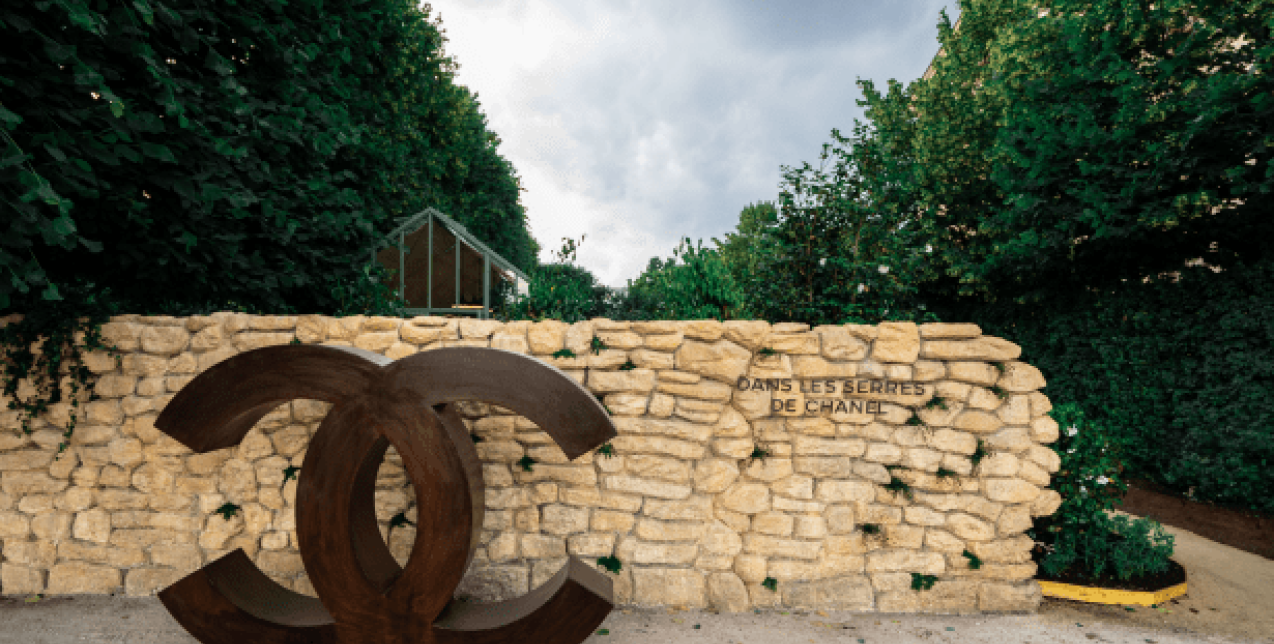 O οίκος Chanel προσκαλεί το κοινό του σε μια απρόσμενη ξενάγηση στον μαγικό κόσμο της καμέλιας