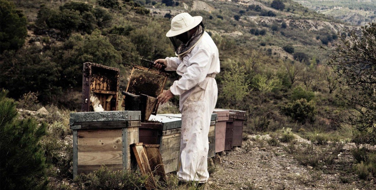 Melitheon: Το μέλι των Θεών 