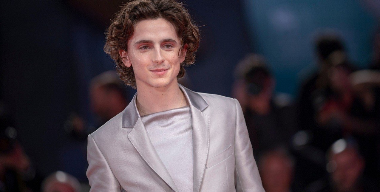 Timothée Chalamet: Όσα πρέπει να γνωρίζετε για τον ανατρεπτικό ανερχόμενο star 