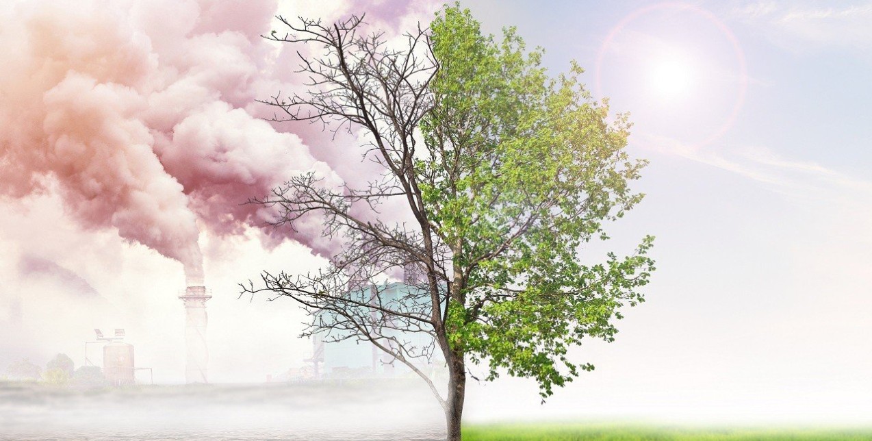 Μπορεί ο κορωνοϊός να αποτελεί την εκδίκηση της φύσης στους ανθρώπους; 