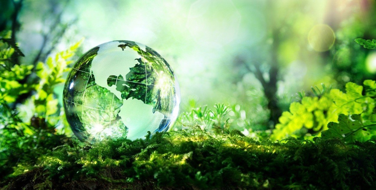 COVID-19 & κλιματική αλλαγή: Γνωρίστε τις συνδέσεις που αφορούν δύο μεγάλες κρίσεις 