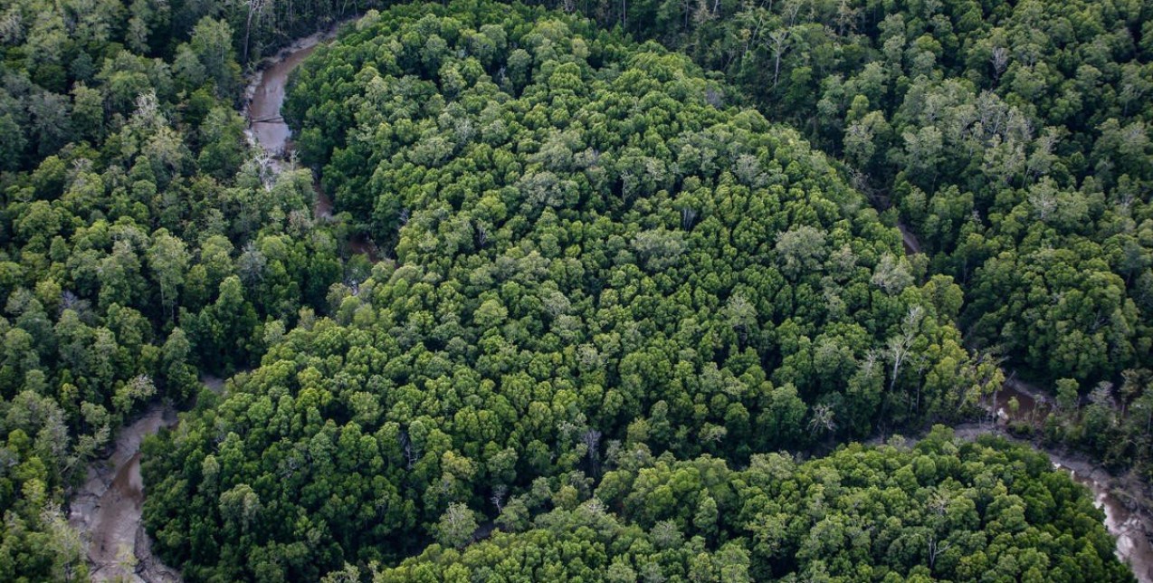 Με αφορμή την Παγκόσμια Ημέρα Περιβάλλοντος κάνουμε τη ζωή μας πιο οικολογική με 5 απλά βήματα 