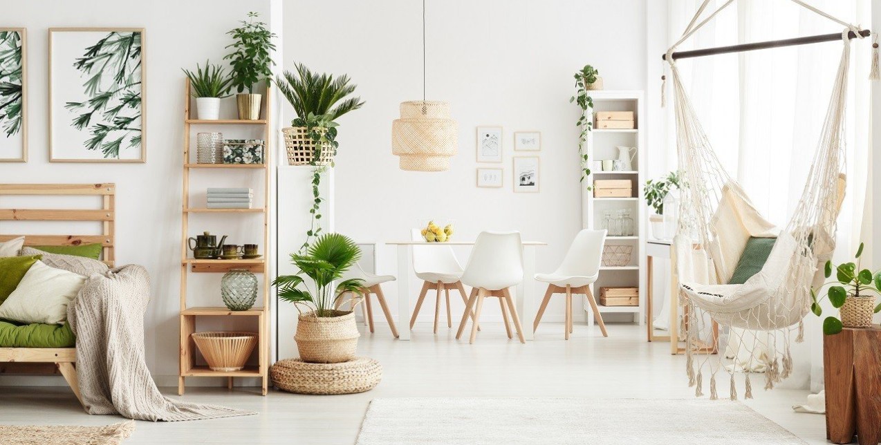 Plants & The Home: Έτσι θα φροντίσετε τα φυτά σας όσο θα λείπετε διακοπές