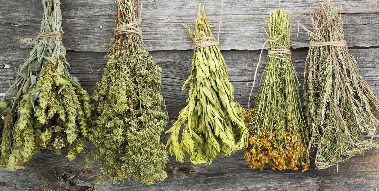 5 βότανα για ευεξία και αδυνάτισμα αποκαλύπτουν τα μυστικά τους