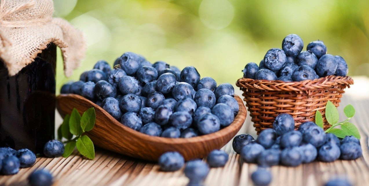 Πολυφαινόλες: Τι επιπτώσεις έχει στον οργανισμό μας το ισχυρό αντιοξειδωτικό