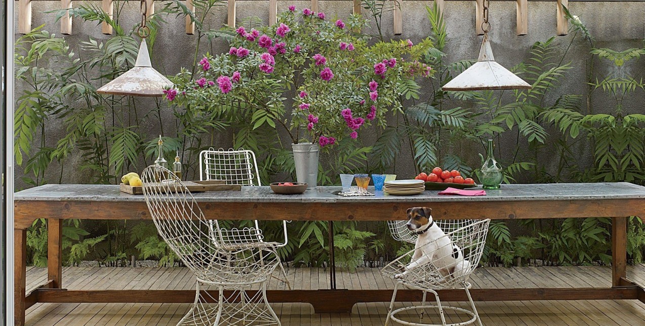 Houseplant care: Τα πιο συχνά λάθη που πρέπει να αποφύγετε για υγιή φυτά 