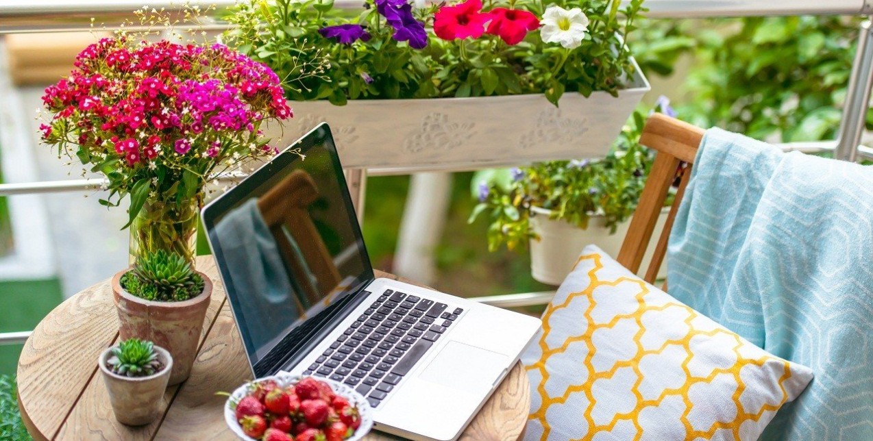 Outdoor Decoration: Τα φυτά που θα δώσουν νέα πνοή στις βεράντες μας 