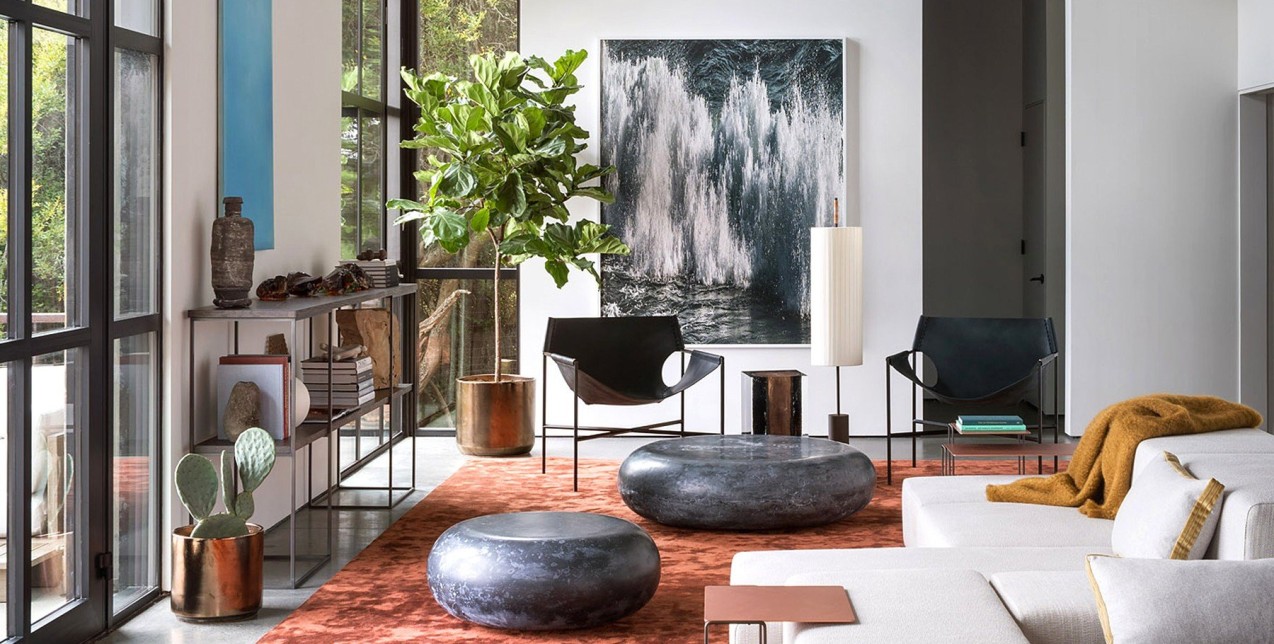 Houseplants: 5+1 φυτά εσωτερικού χώρου που επιβιώνουν στην σκιά