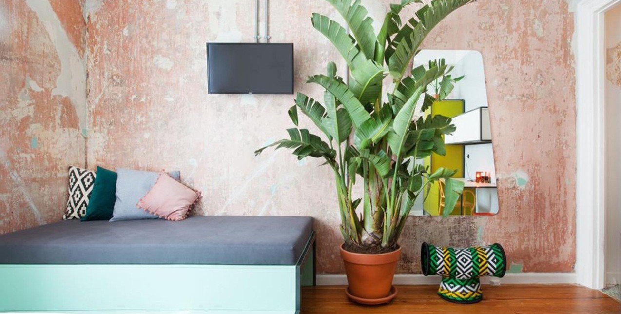 What's GLOW Vol.6 | 14.11