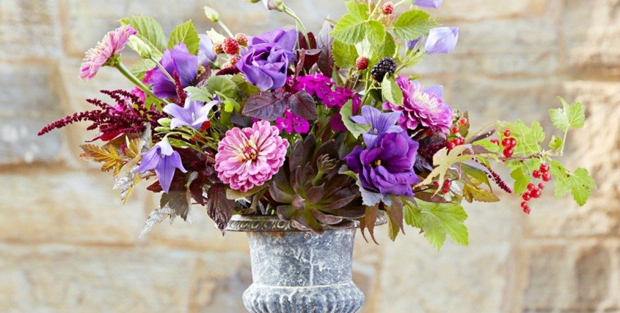 Green power: Τα πιο ανθεκτικά φυτά και λουλούδια που αντέχουν ακόμα και στον καύσωνα