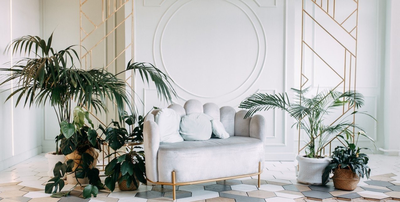 Τα φυτά που θα φέρουν τύχη κι ευημερία στην κατοικία σας σύμφωνα με το Feng Shui