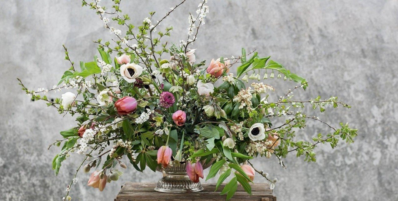 Garden Experts: Πώς να περιποιηθείτε σωστά τα φυτά σας το φθινόπωρο