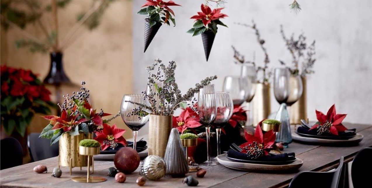 Houseplants: Τα φυτά που πρωταγωνιστούν αυτήν την εποχή 